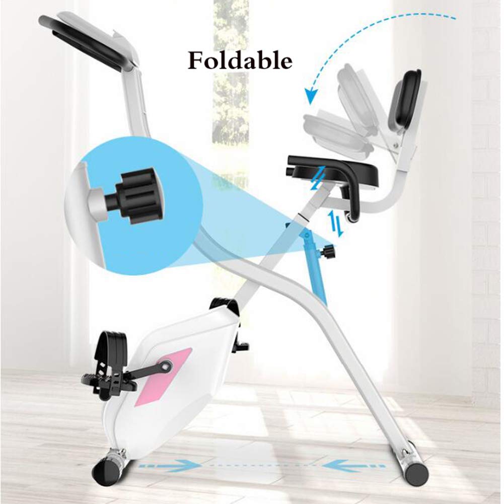Indoor Cycling Exercise Bike, Cardio Stationary Bike with LCD Monitor & Heart Rate Sensors, White, Home Cardio Trainer